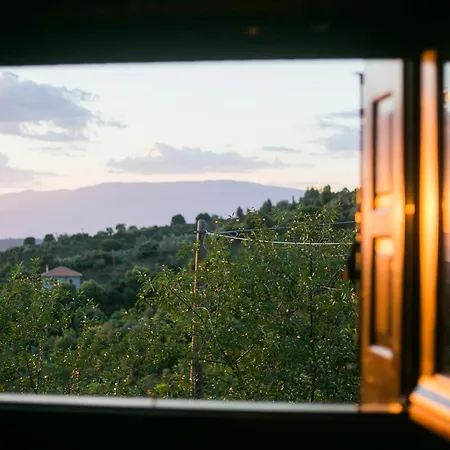 Vasiliki's House *
